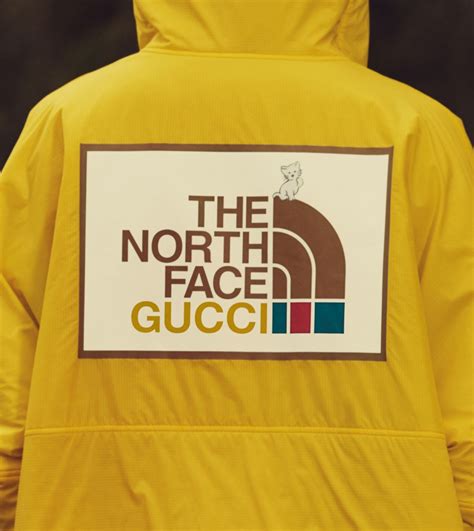 the borth face x gucci|The North Face Gucci price.